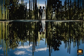 Stunning bride and groom portrait captured in front of a reflection pool in Oaxaca, Mexico.